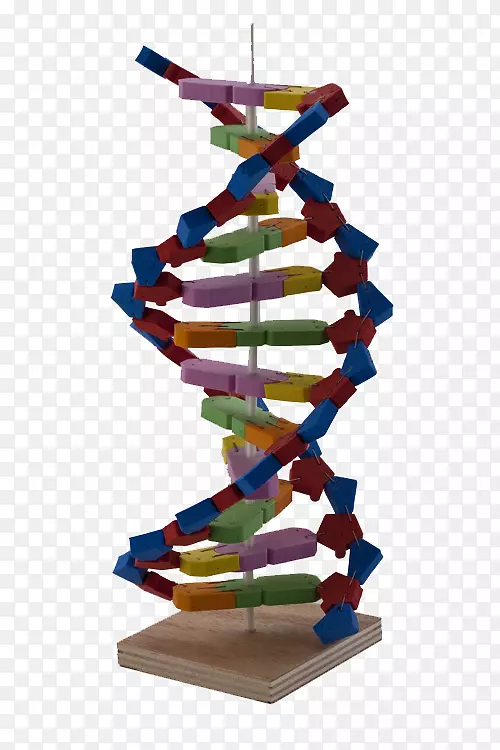 DNA��ѧʵ����������.dnaģ��-������