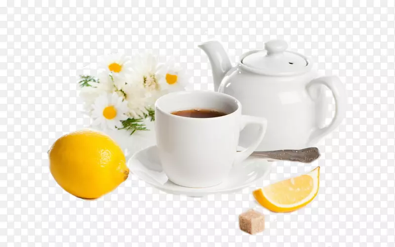 �̲�Ũ������Ӣʽ��Ͳ����-������