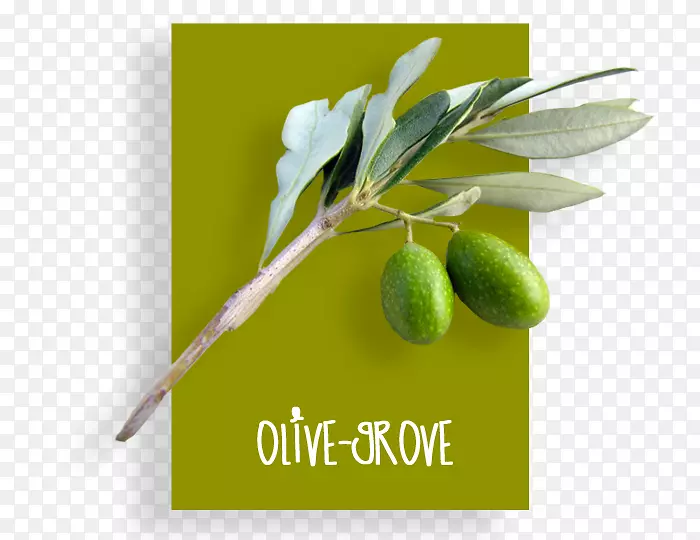 ����Ͳ�ƷƷ�������+m-�����-������