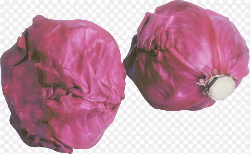 �����ش�ײ��߲�-������-������