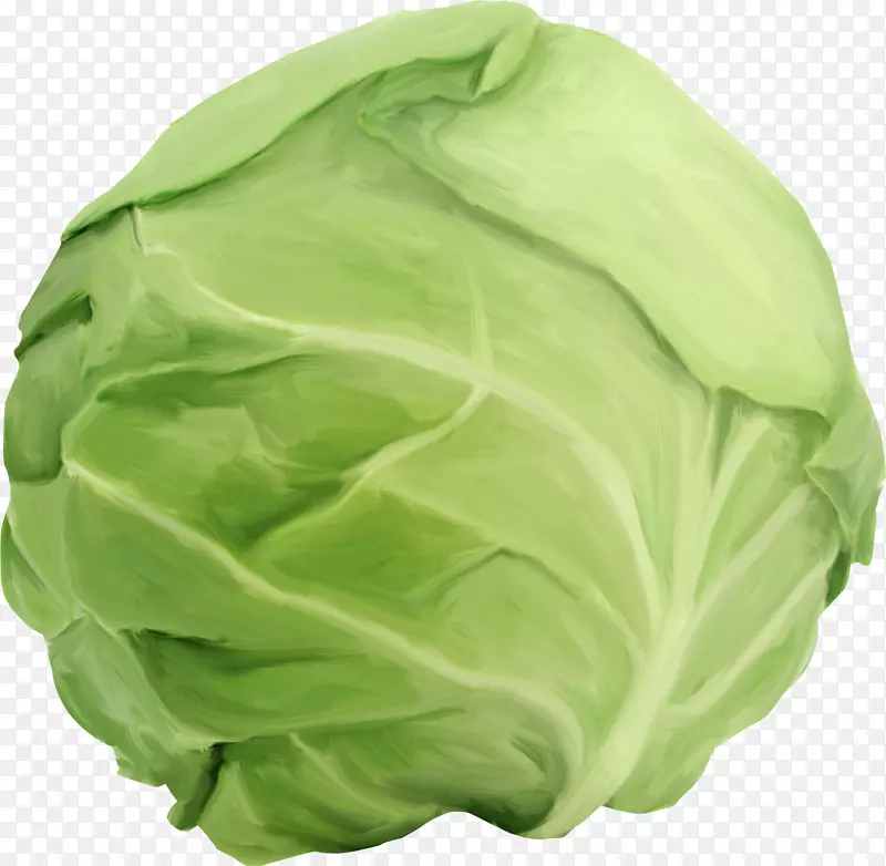 ɳ�߾��Ĳ��߲˾��Ĳ˴���-���Ĳ�-������