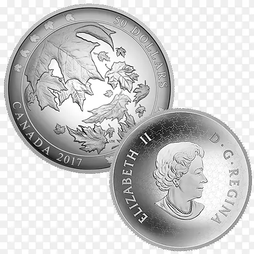 ���ô���Ҷ���ұ���Ҷ�׶�-������