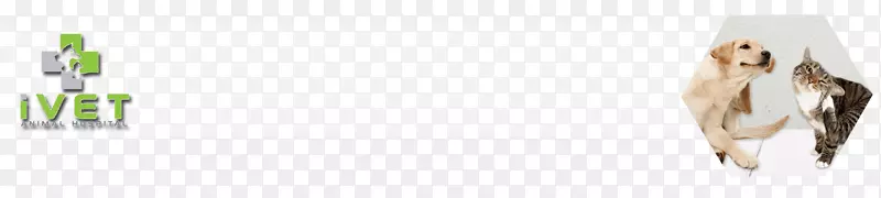 ����ü������Ⱦ����.��ҽ��е-������