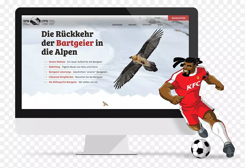 ����ѷʵ����z��rich��ŭ��С��ʳ��ͼ�񵰸ⶥ��Ʒ��Amazeeָ��չʾ���-����ͺ��-������