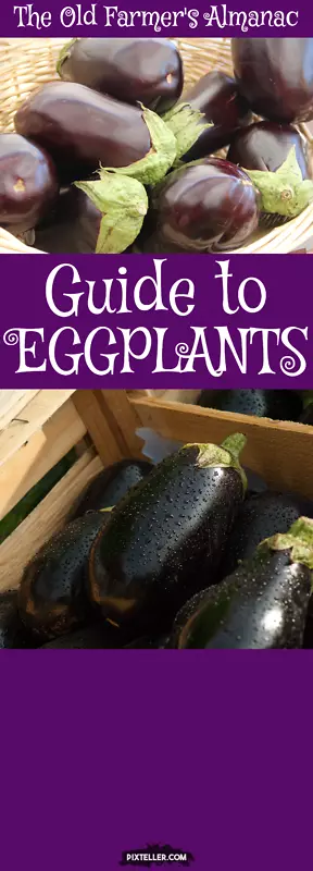 �������ݱ�ʳƷ�䷽-������