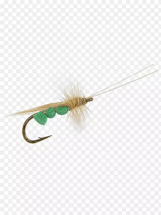 �������˹���Ӭ�����Ӭ-������