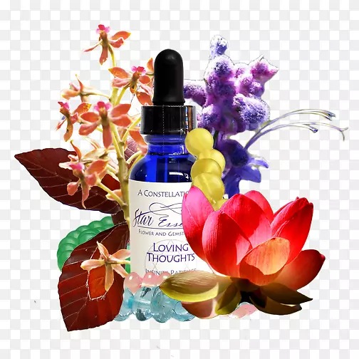 ������Ԫ���۱������-��������������-������