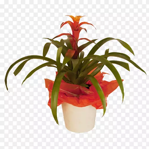 �л����ܻ�������ֲ�������ȴ�ֲ����¼-������