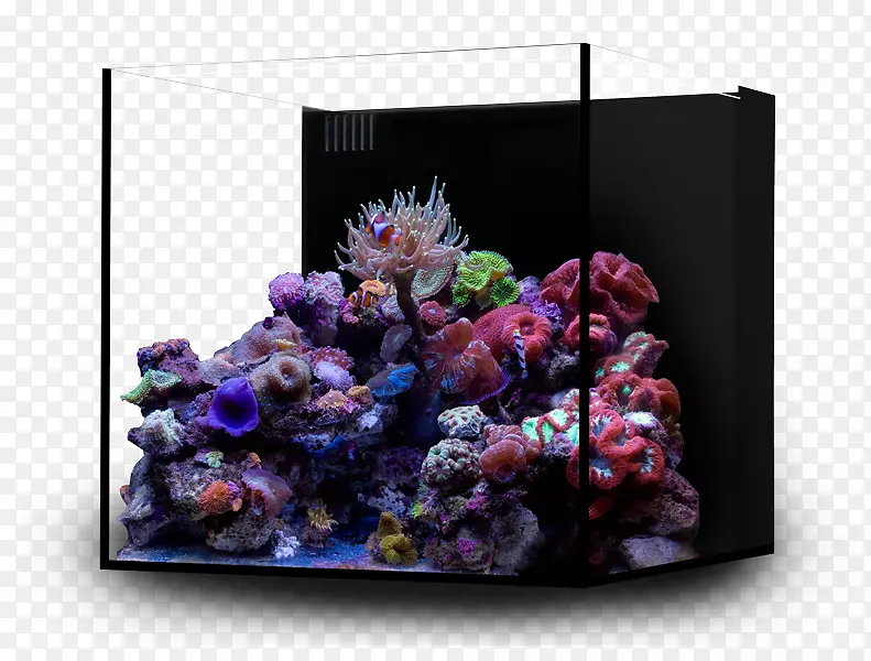 ɺ����ˮ�������ɺ����-5���غ�10����ˮ����-������