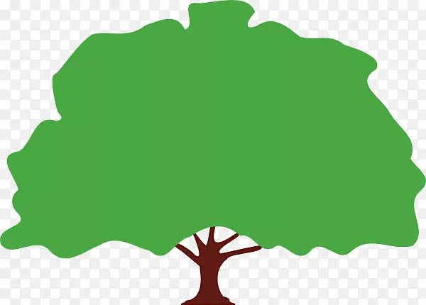 ������������ֲ��Ҷֲ��.��ʿɽ��-������