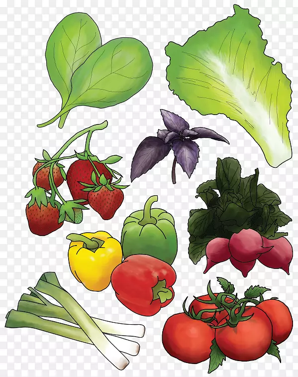 �л�ʳƷ��ʳ���ũ��Ʒ�߲�-������