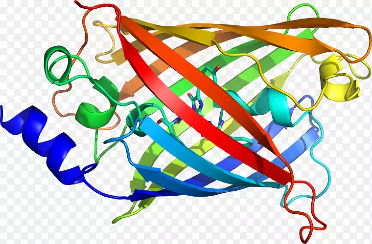 �������߲�Ʒ��-ӫ��ˮĸ-������