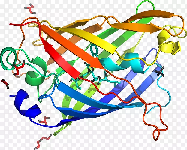 ���������л����Ʒ��-ӫ��ˮĸ-������