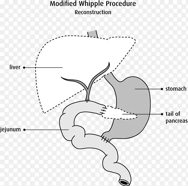 ������Ʒ�����ָ���������ϸ����Һ-������