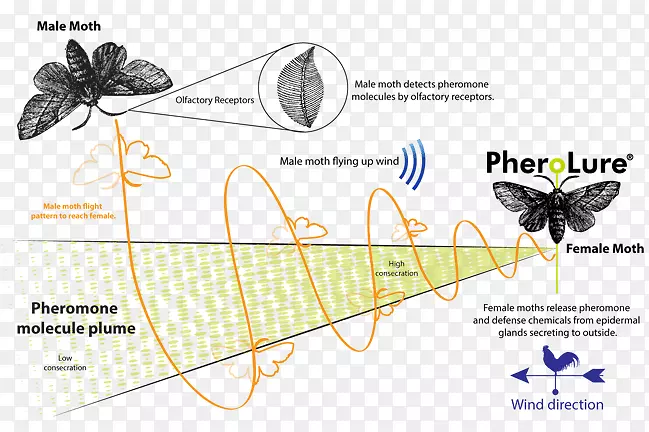 ������ͼ������������Ƭ����-������