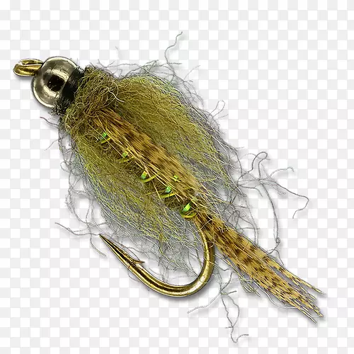 �������������ë-������