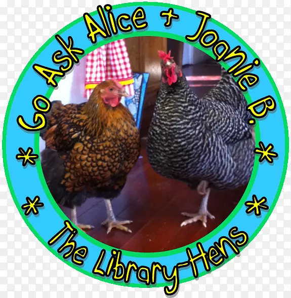 ����ʳ��-ȥ�ʰ���˿-������