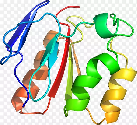 �������л��������鱦.ӫ��ˮĸAequorea-������