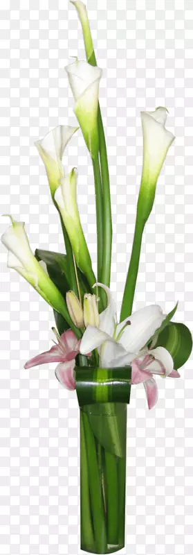 ��������л���ƿ����Բ���λ�ƿ����-������