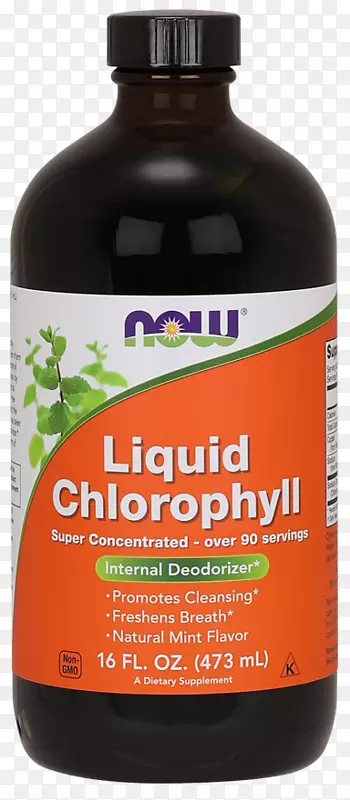 ��ʳ�����Һ��Ҷ����16 fl oz��Ʒ-���ϻ�����-������