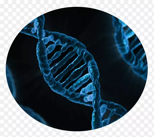 ��������ѧ��ѧ�о���ѧ����-Ӱ��רҵ���-������