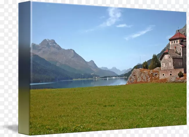 ��ʿ�����ز�-��ʿ��-������