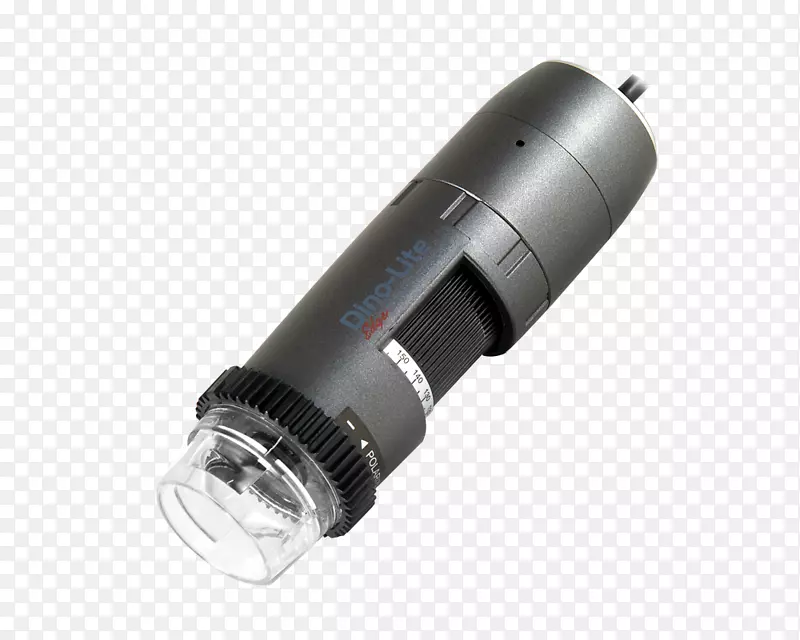 ��ŵ-������