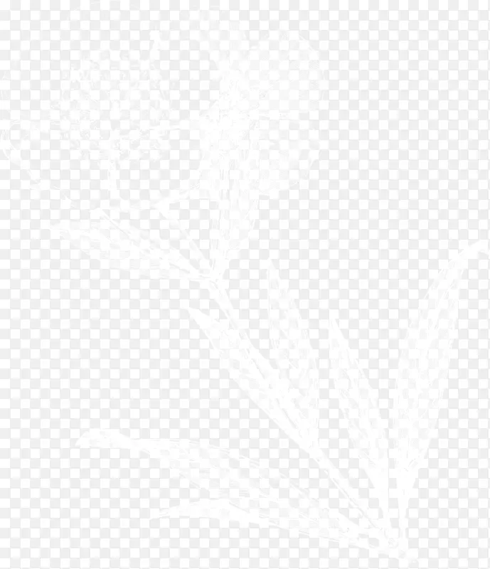 ��������ʿ���ƽ𺣰����ˣ�Ŧ��˹����ʿ�����������ˣ��ϻ���Ϊ���������Ƶ��׵������-������