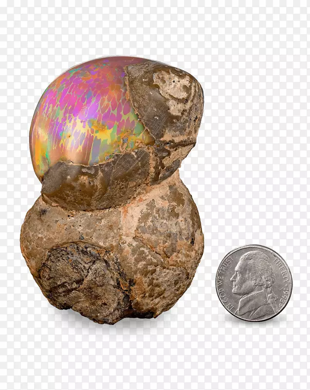 ÷������ʯ����ʯ�ɿ�������ʯ���������ǵ���ʯ����-������