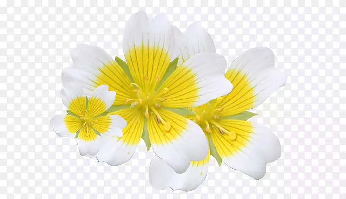 �л����ݱ�ֲ�����ֲ��.�ζ���ѧ����β�ݾ���-������