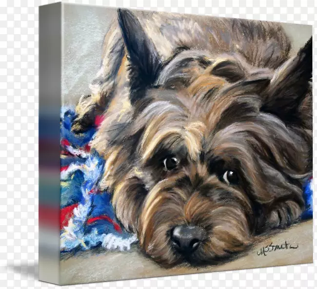 Լ�˿�С��Ȯ������Ȯ����˿����Ȯ������Ȯ���ߵذ�ɫ��Ȯ������ȸ��-������