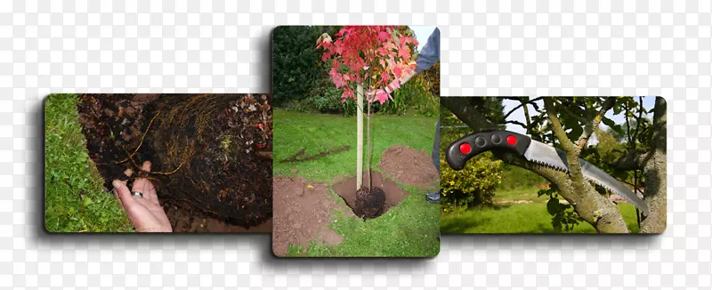 �޼�����-������