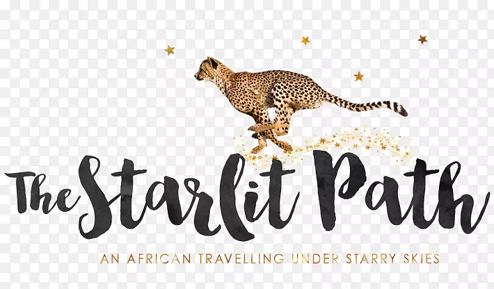 è���ƶ������-Ӣ������ԡ-������