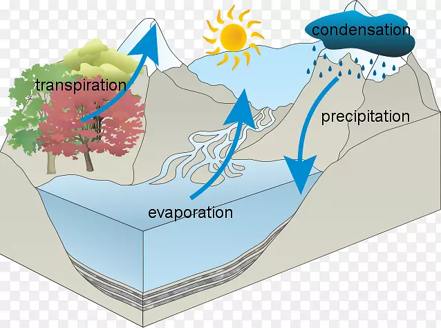 ˮѭ��ȫ����ѧ����ͼ��ѧ��΢����������ѧ-������