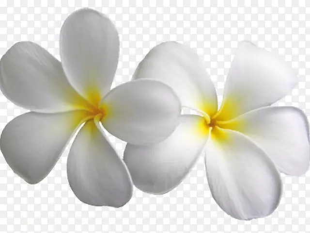 �ֳ�ʽ����ͼ�������ֽ������ͼƬ��ɫ�����-������