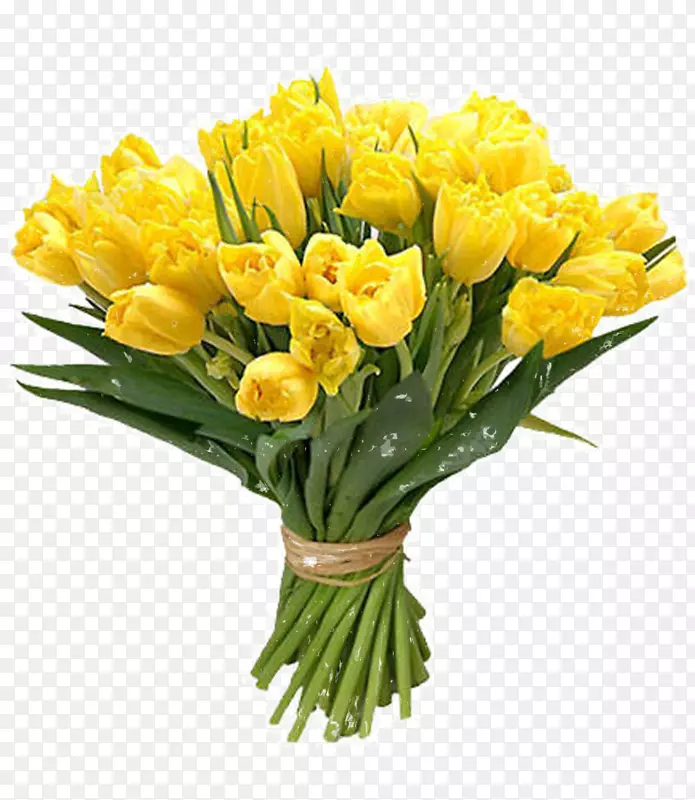 ��������-����PNG-������