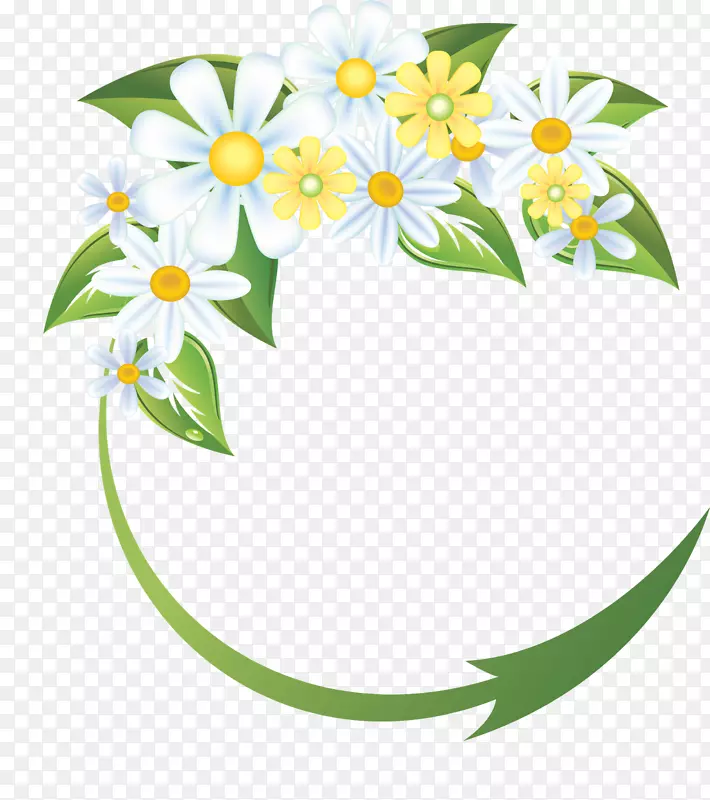 ���ܼ�����-��ë��-������