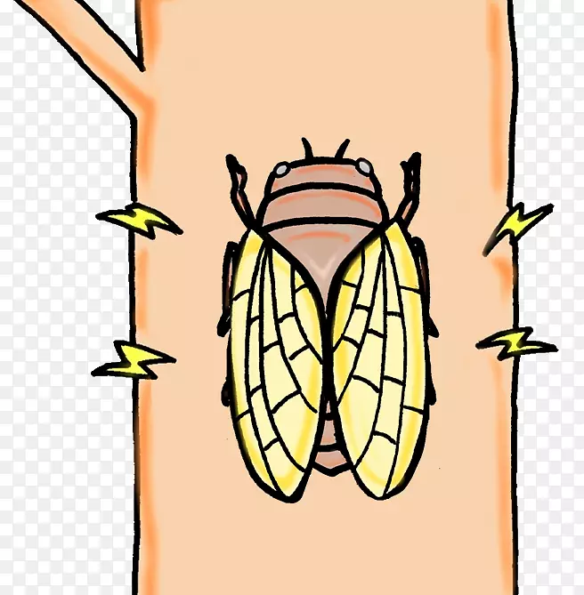 �����������ͼ���`�륺�����ͤ�-����-������