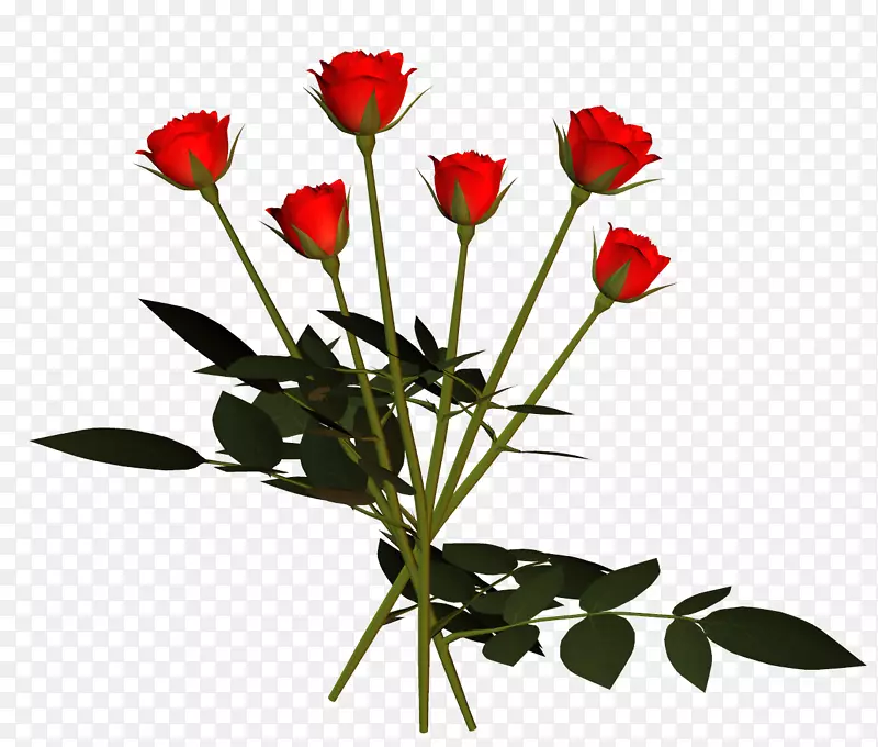 �л�õ�廭-õ��-������