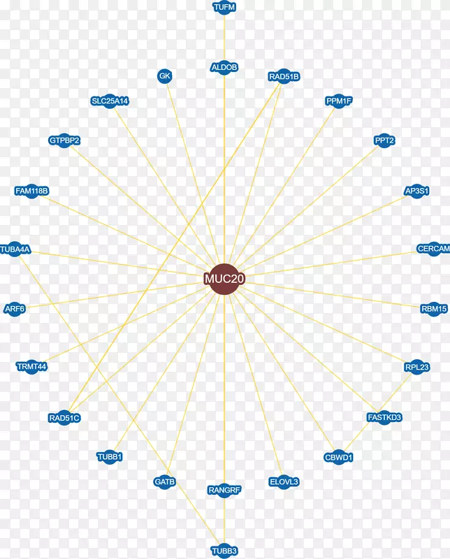 �Գ��ߵ���ǹ����-������