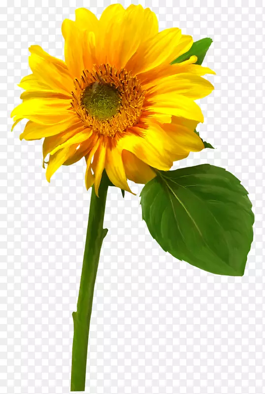 ��ͨ���տ�������-���տ�-������