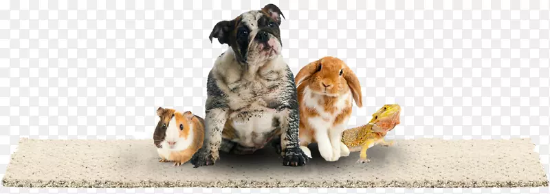 ��̺ľ�ذ���-���г���-������