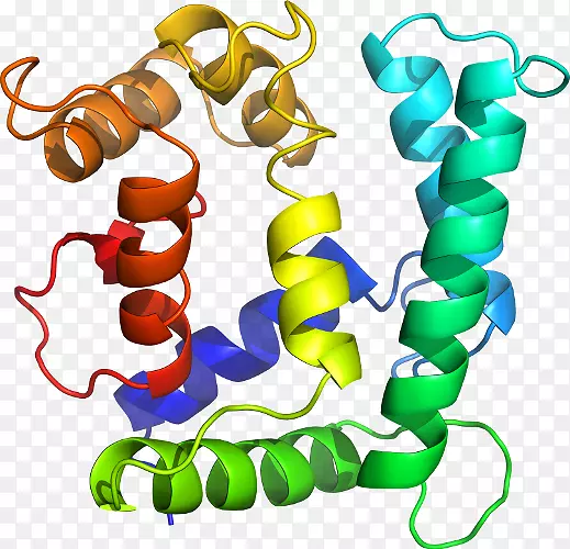 �������л�����������.����ԭ��ͼ-������