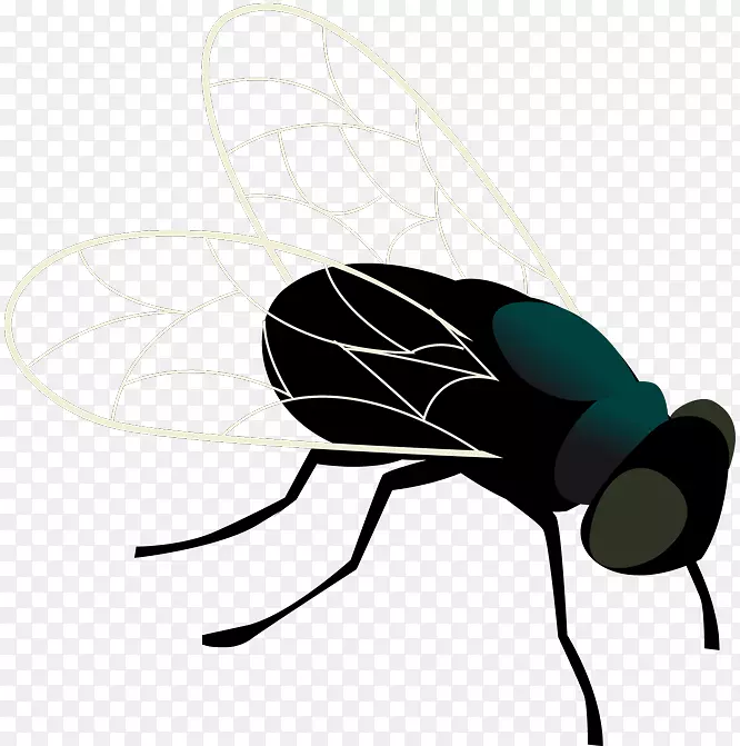 �������������涯���̵�-�̴�����-������