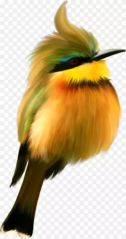 ����pngͼƬ��������ͼ��adobe Photoshop-������-������