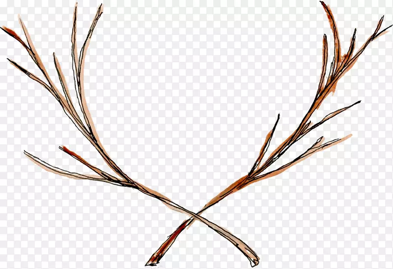 Сֲ֦�ﾥҶϵ��.��ħ֦-������