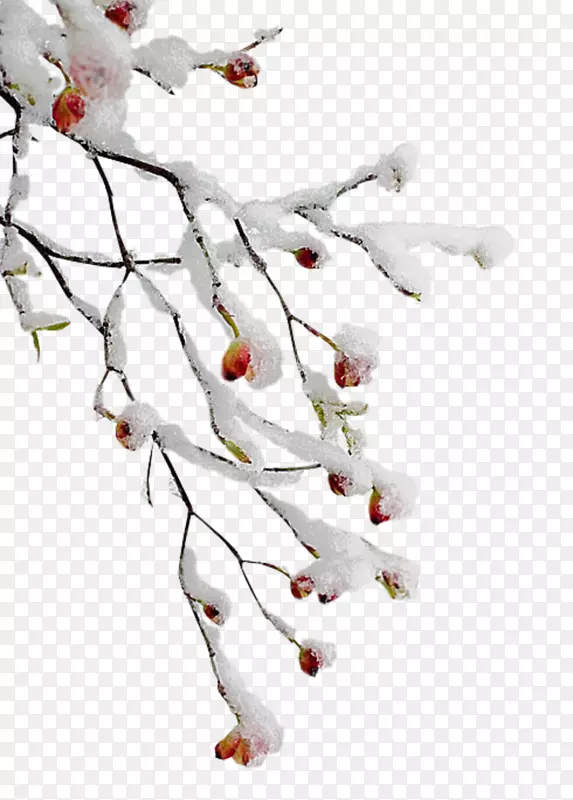 pngͼƬ������gifͼ���֧.������֧-������