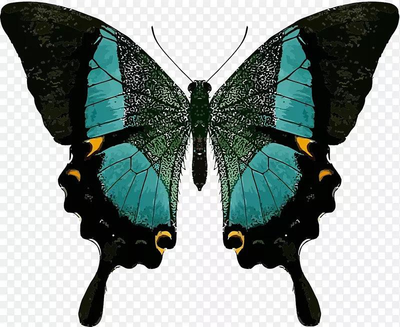 ���Գ���β.�ֽ������ڱ�-������