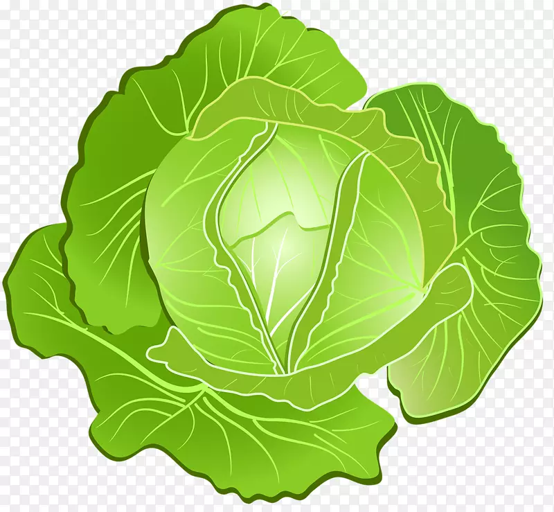 �������߲�ͼ��ͼ�߲�-������