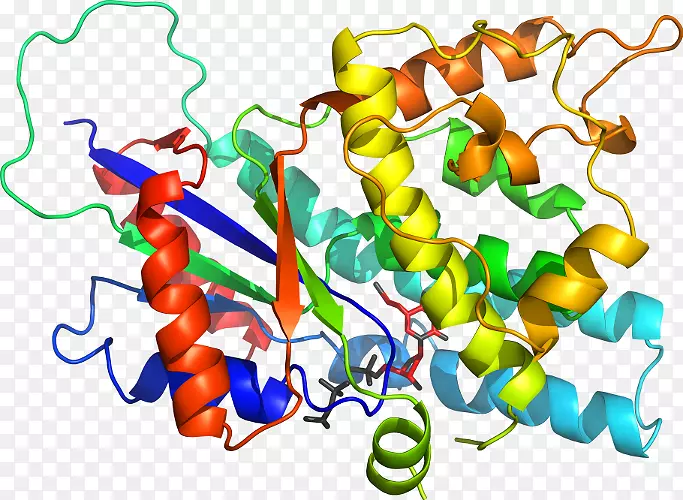 �������������Ʒ��ˮ����״�����-������